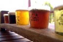 Moody Cow Brewery - Accommodation Burleigh 1