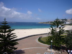 Aquarium - Accommodation Burleigh 2