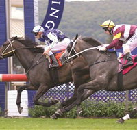 Gosford Race Club - Accommodation Burleigh