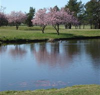 RMC Golf Club - Accommodation Burleigh