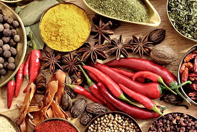 Vamos Melbourne - Accommodation Burleigh 0