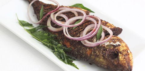 Blue Moon Restaurant - Accommodation Burleigh 2