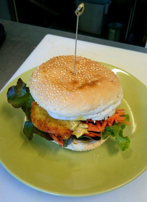 Yogolicious - Accommodation Burleigh 2