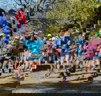 Duval Dam Buster Trail Run - Accommodation Burleigh