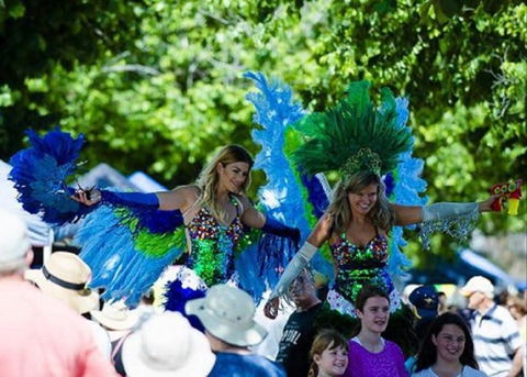Family Fun Carnivale - Accommodation Burleigh 0
