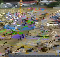 Millicent Agricultural and Horticultural Show - Accommodation Burleigh