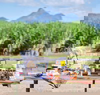 Taste Tweed - Accommodation Burleigh