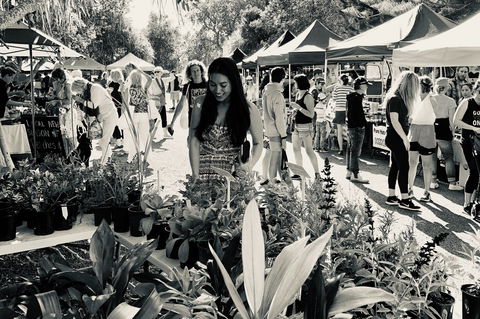 Yamba Farmers And Producers Market - Accommodation Burleigh 0