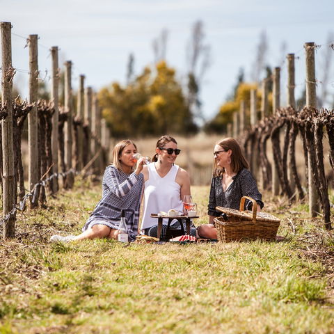 Family Picnic Weekend - Accommodation Burleigh 0