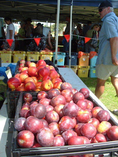 The Farmers Market On Manning - Accommodation Burleigh 0