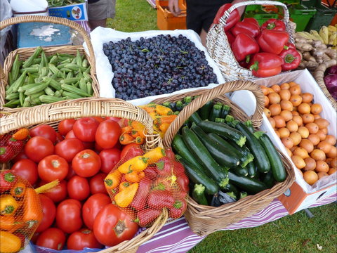 Armidale Farmers' Market - Accommodation Burleigh 1