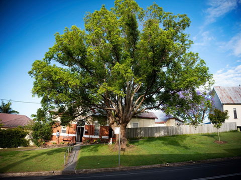 Big Bat Wildlife And Eco Festival - Accommodation Burleigh 0