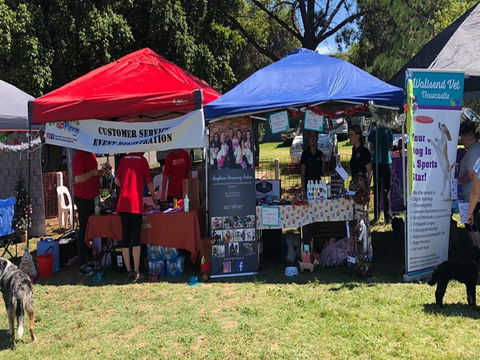 Dogs In The Park Shell Harbour - Accommodation Burleigh 0