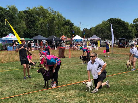 Dogs In The Park Shell Harbour - Accommodation Burleigh 1