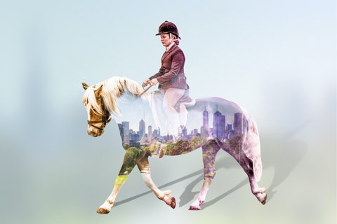EQUITANA Melbourne - Accommodation Burleigh 0