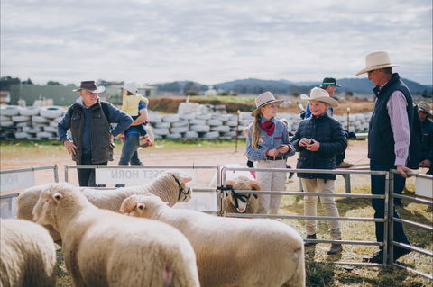 Mudgee Small Farm Field Days - Accommodation Burleigh 0
