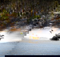 Southern 80 - Accommodation Burleigh