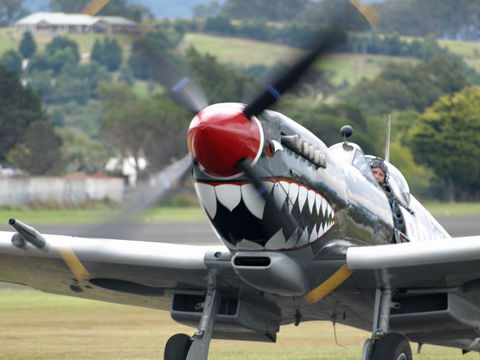 Wings Over Illawarra - Accommodation Burleigh 0