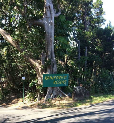 Byron Bay Rainforest Resort - Accommodation Burleigh 0