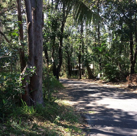 Byron Bay Rainforest Resort - Accommodation Burleigh 3
