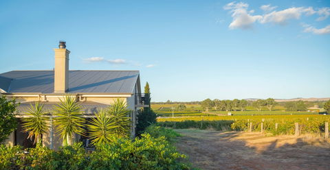 Barossa Shiraz Estate - Accommodation Burleigh 0