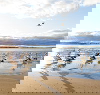 El Paso Motor Inn - Accommodation Burleigh