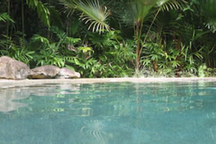 Cow Bay QLD Accommodation Burleigh