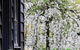 Acheron Valley Country Estate - thumb 1