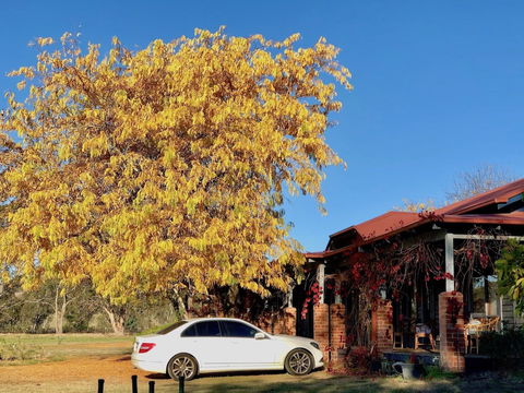 Acheron Valley Country Estate - Accommodation Burleigh 6