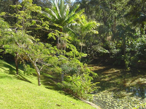 Sensom Luxury Bed & Breakfast - Accommodation Burleigh 5