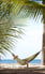 Kewarra Beach Resort & Spa - Accommodation Burleigh 6