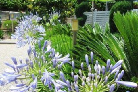 Highfields Motel Toowoomba - Accommodation Burleigh 5