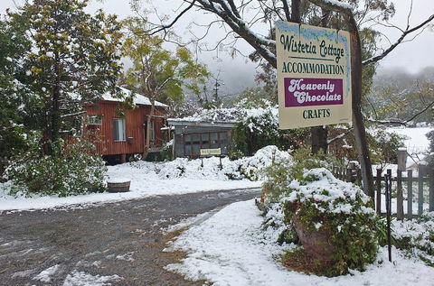 Wisteria Cottage And Cabins - Accommodation Burleigh 1