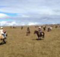 Susan River Homestead - Accommodation Burleigh