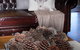 Drom Aluinn B & B - thumb 4