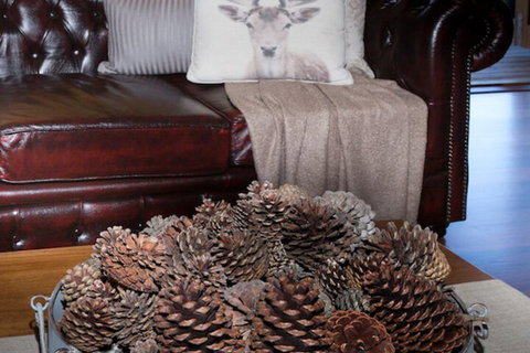 Drom Aluinn B & B - Accommodation Burleigh 4