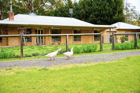 Farm Club Australia - Accommodation Burleigh 1