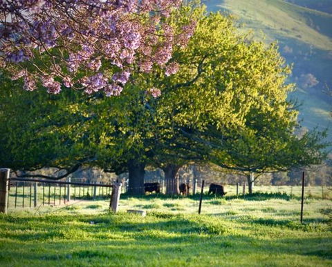 Alexandra Farmstay - Accommodation Burleigh 6