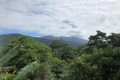 Mossman Gorge Bed & Breakfast - Accommodation Burleigh 5