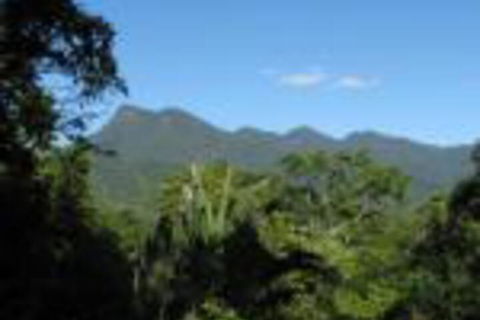 Mossman Gorge Bed & Breakfast - Accommodation Burleigh 0