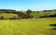 Black Duck Farm - thumb 2