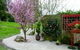 Black Duck Farm - thumb 6