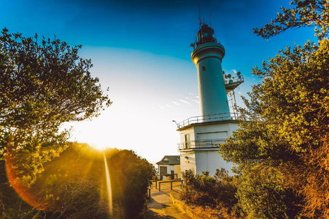 Abaleen House - Accommodation Burleigh 5
