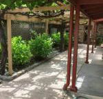 bluebird cottage - Accommodation Burleigh