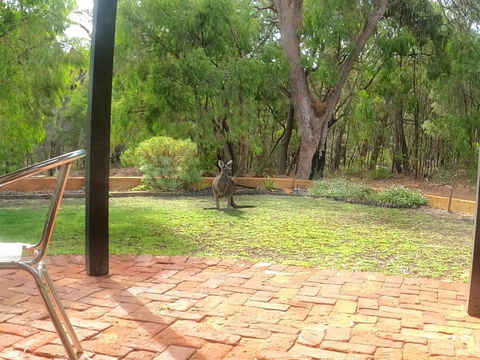 Yallingup Pet Friendly Bush Retreat - Accommodation Burleigh 5