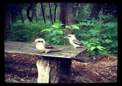 Getaways At Byfield - Accommodation Burleigh 1