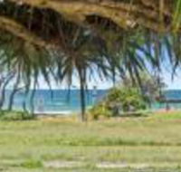 Pandanus on Emerald - Accommodation Burleigh