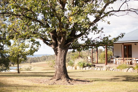 Audrey Wilkinson Vineyard - Accommodation Burleigh 2