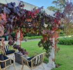 The Cottage - Accommodation Burleigh
