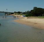 Black Dolphin Waterfront Townhouse Bay Views - Accommodation Burleigh